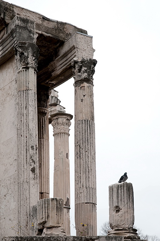 A 5 D33_2930--Rom-2016.jpg